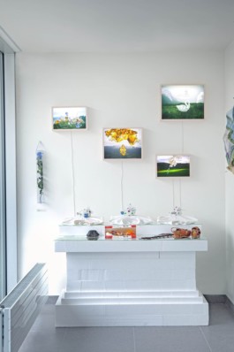 Lenka Milerová  /  A  R  CH  I  T  E  K  T  K  A /