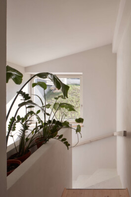 Lenka Milerová  /  A  R  CH  I  T  E  K  T  K  A /