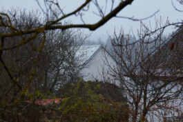 Lenka Milerová  /  A  R  CH  I  T  E  K  T  K  A /