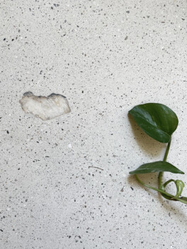 Lenka Milerová  /  A  R  CH  I  T  E  K  T  K  A /